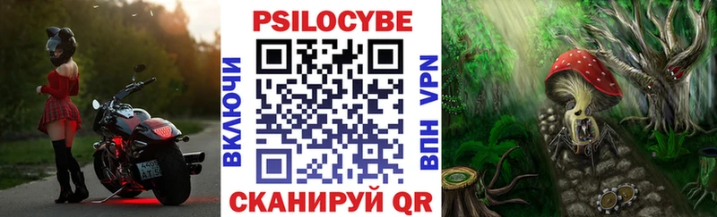OMG маркетплейс  Комсомольск-на-Амуре  Псилоцибиновые грибы мицелий  где найти наркотики 